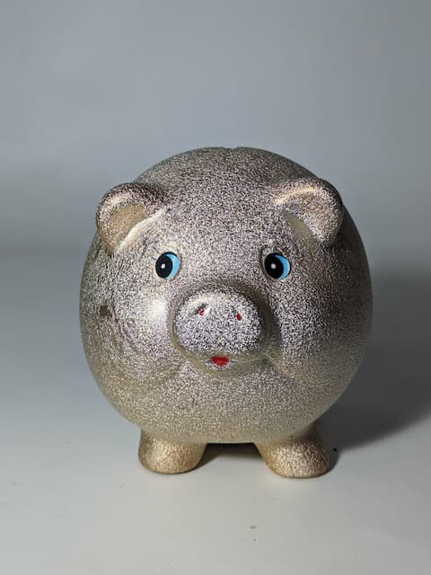 陶瓷金色小豬撲滿