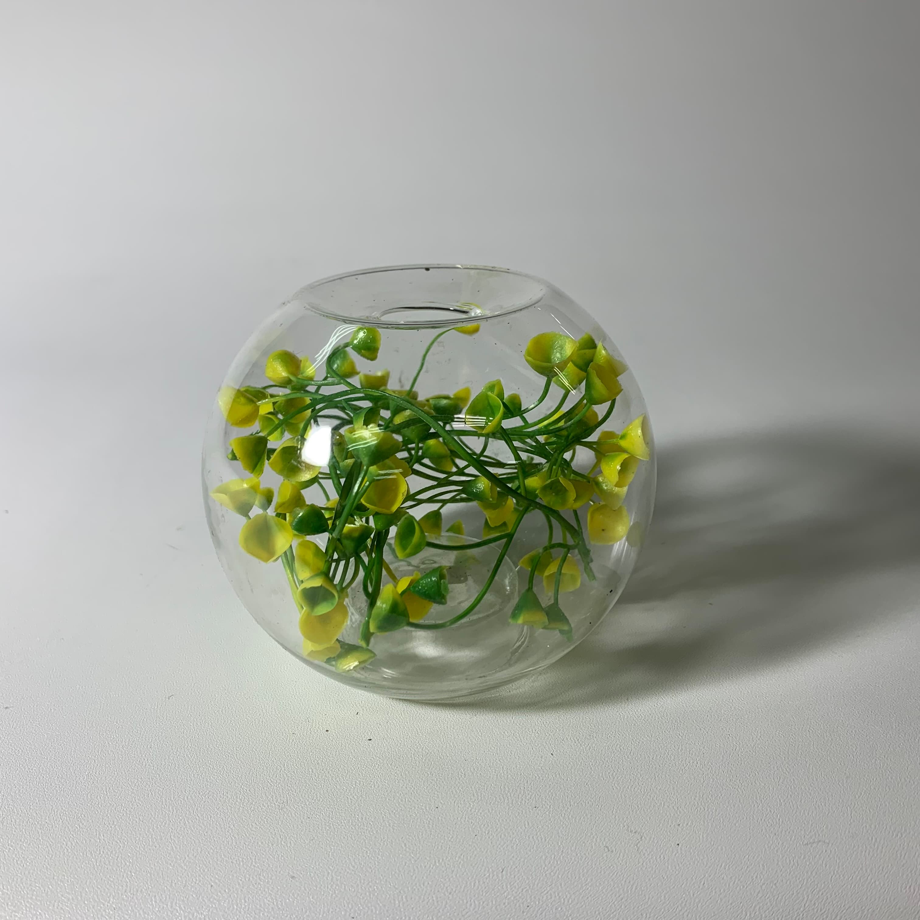 玻璃透明綠色植物球狀燭台