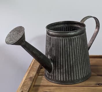 鄉村風 馬口鐵連蓬頭澆水器